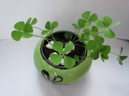 Nữ ca sĩ iu kpop tour diễn hàn quốc. 20 Váº­t May Máº¯n á»Ÿ Nháº­t Ma Báº¡n Khong Thá»ƒ Bá» Qua