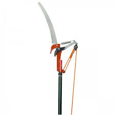 Energetic tree lopping, sydney, australia. Tree Pruner