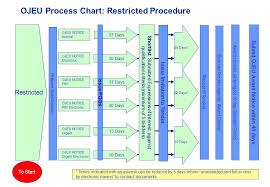 Appendix 6 Ojeu Process Chart Summary Restricted