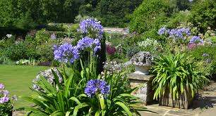 Gartenarbeiten frühling i frühjahrsblüher i blumen frühling i garten ostern i ostern deko garten i garten ideen frühling i. Garten Im Fruhling Die Besten Tipps Fur Einen Schonen Garten