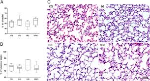 In both intrinsic or extrinsic pulmonary conditions, lung volumes become reduced due to restrictions in pulmonary mechanics. Exogenous Surfactant Prevents Hyperoxia Induced Lung Injury In Adult Mice Intensive Care Medicine Experimental Full Text
