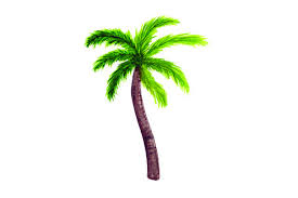 Freesvg.org offers free vector images in svg format with creative commons 0 license (public domain). Palm Tree Watercolor Svg Cut File By Creative Fabrica Crafts Creative Fabrica