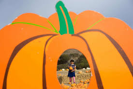 Which holiday food 'shortages' should actually worry the Bay Area?