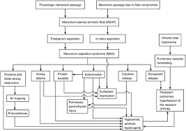 Meconium Aspiration Syndrome Springerlink