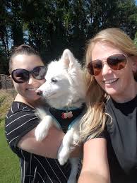 Afghanistan rescues Tyga (#IR1101) and Mason (#IR1124) have shown us the  true meaning of friendship. Individually quirky, together they balance each  other perfectly, sharing tireless energy, adventurous spirits, and  unwavering support through