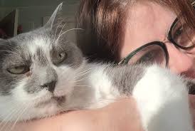 Rescue cat introduction and stories from an alley behind the house