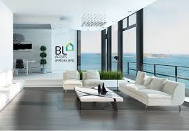 1c, avenue christian doppler, serris, 77700, france. Bl Agents Immobiliers Linkedin