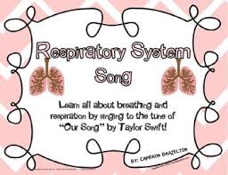 Respiratory System Song Lungs Breathing Respiration Respiratory System Respiratory Songs
