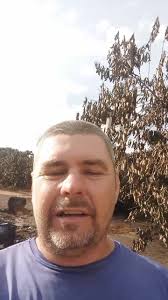 Daniel Julius Nietsch