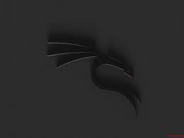Kali linux hd wallpaper posted in mixed wallpapers category and wallpaper original resolution is 1920x1080 px. Kali Linux Android Wallpapers Wallpaper Cave