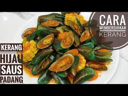 Itulah beberapa macam resep cara membuat nasi kuning andalan yang bisa dipilih sesuai selera anda. Resep Kerang Hijau Saus Padang Dan Cara Membersihkan Kerang Litetube