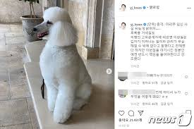 초등학교 3학년때인가 책상모서리나 우리집 쇼파 그런곳에 내 아래를 비비면. ì •ìš©ì§„ ì‹ ì„¸ê³„ ë¶€íšŒìž¥ ë°˜ë ¤ê²¬ ë§ˆë¦¬ì­ˆ ìž„ì‹  ë¹„ë§ˆì´íŽ« í¬ë¦¬ì—ì´í„°ì¦ˆ