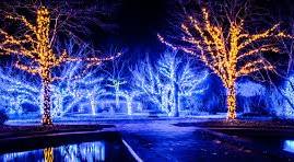 Triangle Holiday Lights | Morrisville NC