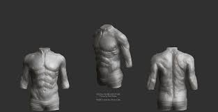 Elizabeth quinn is an exercise physiologist, sports medicine writer, and fitness consultan. Artstation Anatomy Study Muscles Motion Male Torso Olivier Cefai