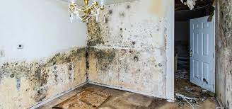 Multipor ile bodrum katlar ve otopark tavanlarının ısı yalıtımı nasıl yapılır sorusunun cevabı türk ytong kanalında! Samsun Nem Kurutma Kuf Ve Rutubet Nasil Onlenir Syg Muhendislik