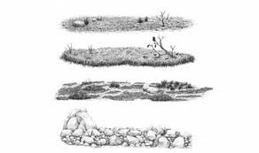 Ada banyak teknik yang bisa digunakan anak untuk melukis. Bagaimana Menggambar Rumput Tanah Dan Batu