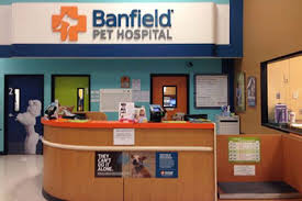 Banfield Foundation Archives Veterinary Practice News