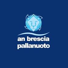 La pallanuoto brescia è affondata! An Brescia An Brescia Twitter