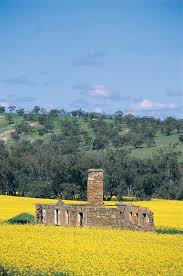 The Ruins Of The Glenfield Homestead On The Katrine Heritage Trail In The Avon Valley Perth Australia Western Australia Field