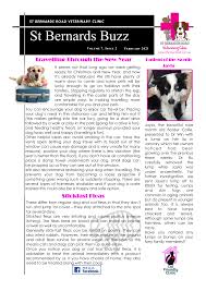 Does My Bird Have External Parasites (E.G. Lice, Mites, Ticks, Fleas)? –  Rspca Knowledgebase