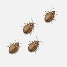 Get directions, reviews and information for lake pest control in eustis, fl. Bed Bug Exterminators Bed Bug Removal Heron Home Outdoor