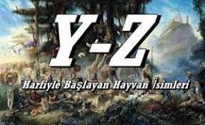 y z harfiyle baslayan hayvan isimleri tam listesi hayvan hayvanlar egitim