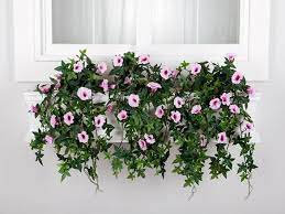 Artbloom 8 bundles outdoor artificial fake flowers uv resistant shrubs plants, faux plastic greenery for indoor outside hanging plants garden porch window box home wedding farmhouse decor (white) 4.4 out of 5 stars 2,096 Outdoor Artificial Morning Glory Flowers For Window Boxes Windowbox