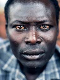 c't Digital Photography 1 (2010)