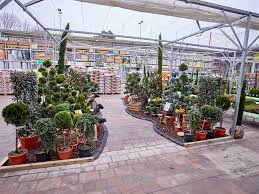 In unserem bereich pflanzen finden sie gartenpflanzen sowie eine vielzahl weiterer produkte. Bauhaus Stadtgarten Bauhaus Schweiz