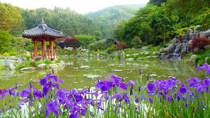 We've heard a lot about the north korea nuclear threat, and how the kim dynasty has declared war on the us. Enjoy The Seasons With Flower Festivals Korea Net The Official Website Of The Republic Of Korea