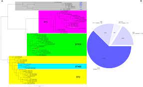 Documentele necesare obtinerii dreptului de sedere pe termen lung. Subtypes Resistance And Virulence Platforms In Extended Drug Resistant Acinetobacter Baumannii Romanian Isolates Scientific Reports