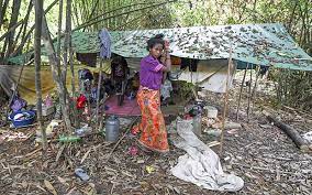 Menurut new straits times, ia kali kesepuluh mereka terpaksa berbuat demikian sejak wabak tersebut mula menular. Orang Asli Deaths Not Due To Metal Poisoning Free Malaysia Today Fmt