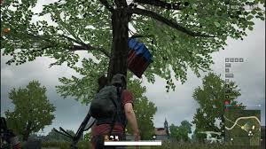 The game get stuck at checking for update page. Pubg Pc Lite Beta Solo Gameplay Air Drop Stuck On Tree Youtube