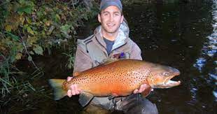 Pin By Mike Hill On If I M Not Going To Catch Anything Then I D Rather Not Catch Anything While Flyfishing Salt Water Fishing Fish Cool Fish