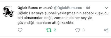 Sule Adli Kullanicinin Oglak Panosundaki Pin Oglak Burcu Burc Bilgileri Burclar