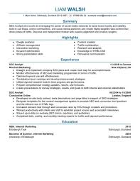 When including bullet points in your resume keep in mind that they should be short and to the point. Best Seo Resume Example Livecareer