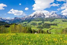 It borders the czech republic, italy, slovakia, hungary, germany, switzerland and liechtenstein. 5 Reasons To Live In Austria Nomad Capitalist
