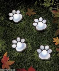 Solar Animal Bear Cat Dog Paw Prints Lighted Paws Garden Yard Art Home Decor New Ebay Dog Yard Dog Rooms Dog Paw Print