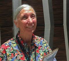 Corkscrew Swamp Sanctuary by conceptkling