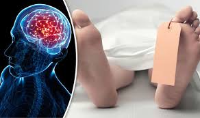 LIFE AFTER DEATH: Scientists BAFFLED as brain activity continues ...
