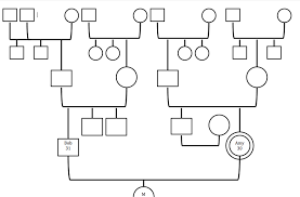 Work with conventional genogram signs to signify members of the family as well as their associations, both typical and structural. Family Of Origin Exploration For The Therapist How To Create Your Genogram Family Therapy Basics