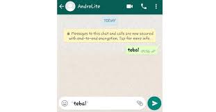 Check spelling or type a new query. Cara Membuat Huruf Tebal Miring Coret Di Whatsapp Terbaru 2021 Androlite Com