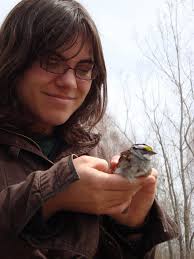 Migration Monitoring at TTPBRS