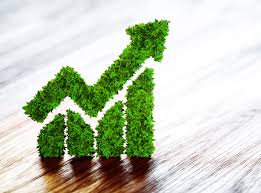 The money that a person or company has: Smart Prosperity Institute For A Stronger Cleaner Economy
