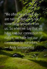 Sienceandnature4you Top This Website Is For Sale Sienceandnature4you Resources And Information Mother Nature Quotes Nature Quotes Words