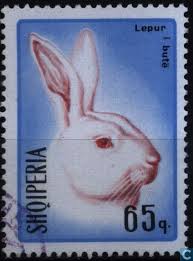 Cotation / prix neuf** € 8,00 les . Timbres 1967 Lievres Et Lapins 65 Catawiki Lievre Timbre Poste Timbre