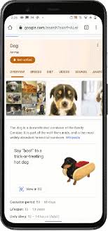 Google Brings Halloween To Life Using Augmented Reality Techcrunch Most lists out there just named the animals.