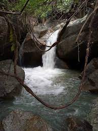 Maybe you would like to learn more about one of these? Penang Kini Air Terjun Titi Kerawang Yang Terletak Di Facebook