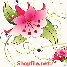 Hoa loa kèn (hay còn được gọi là hoa huệ tây, hoa lys, hoa bách hợp…) tên khoa học là lilium longiflorum, thuộc họ loa kèn. Bong Hoa Loa Ken Ä'áº¹p