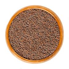 Get babylon's translation software free download now! Mustard Seeds Biji Sawi 100g 250g 500g 1kg